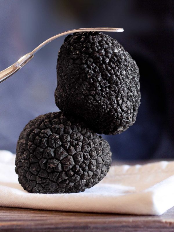 ALIMENTARIA DEL PALANCIA | Trufas Melanosporum