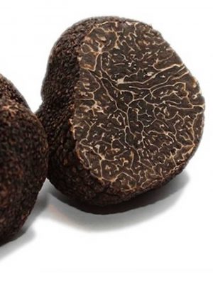 Trufas Melanosporum