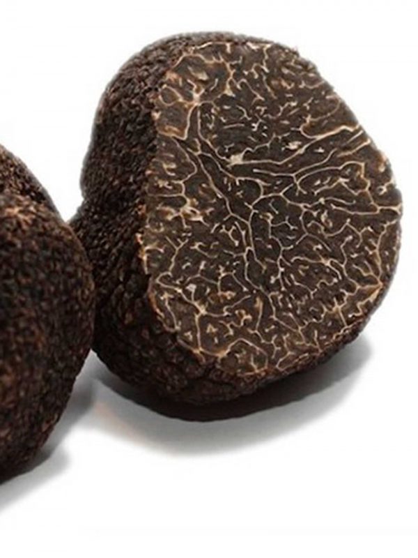 ALIMENTARIA DEL PALANCIA | Trufas Melanosporum